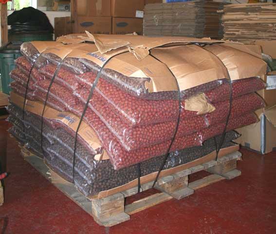 Pescuit - nada-crap.jpg